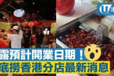 无锡香港酒店雇用高薪伴游(高端伴游雇用)