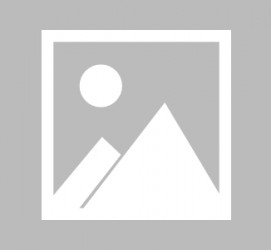 无锡国际伴游雇用信息(国际伴游雇用信息在哪里看)