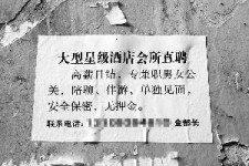 无锡珠海伴游雇用网(珠海游览社雇用信息)