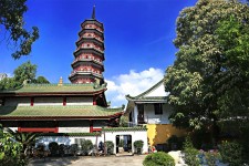 无锡广州自由行(广州 自由行)