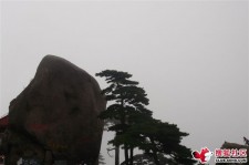无锡上海伴游私家陪游雇用女模(上海伴游私家陪游雇用女模特)