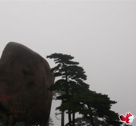 无锡上海伴游私家陪游雇用女模(上海伴游私家陪游雇用女模特)