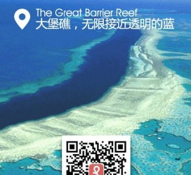 无锡中国250家旅行社结伴游新西兰(新西兰当地旅行社)