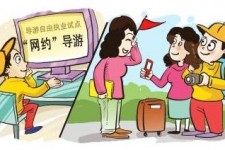 无锡伴游是什么