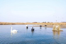 无锡南昌附近伴游小妹兼职(1534939978姐的微信德惠市)