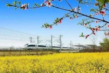 无锡高铁游(高铁游戏下载手机版)
