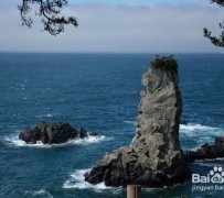 无锡旅游全攻略(上海旅游全攻略)