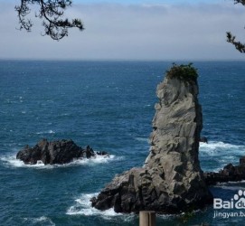 无锡旅游全攻略(上海旅游全攻略)