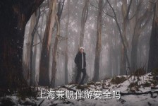 无锡上海私人伴游 上海伴游，上海兼职伴游安全吗