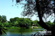 无锡西湖旅游攻略(上海到杭州西湖旅游攻略)