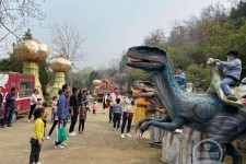 无锡中国伴游带你打卡网红南山竹海(南山竹海网上预约)
