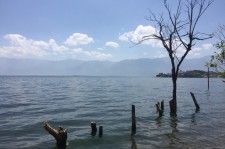 无锡洱海旅游攻略(洱海旅游攻略自由行)