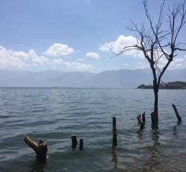 无锡洱海旅游攻略(洱海旅游攻略自由行)