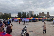 无锡通辽伴游雇用(哈尔滨伴游雇用)