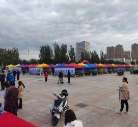 无锡通辽伴游雇用(哈尔滨伴游雇用)
