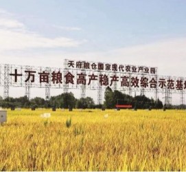 无锡关于成都商务伴游外围雇用的信息