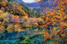 无锡四川旅游攻略(四川旅游攻略十五日游)