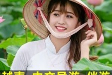 无锡日本关东伴游中国(日本关西旅行)