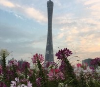 无锡广州旅游攻略(杭州到广州旅游攻略)