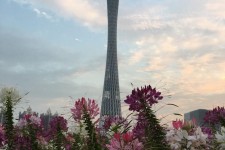 无锡广州旅游攻略(杭州到广州旅游攻略)