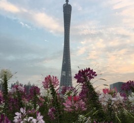 无锡广州旅游攻略(杭州到广州旅游攻略)