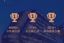 无锡上海私人伴游 ​ “小而美”的新时代：2020年国内新跟团消费报告