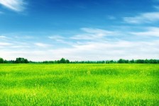 无锡上海伴游 上海模特伴游微信号的交友宣言