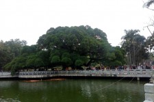 无锡福州旅游攻略(福州旅游攻略二日游)