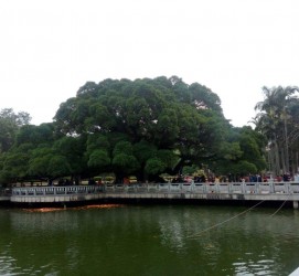 无锡福州旅游攻略(福州旅游攻略二日游)