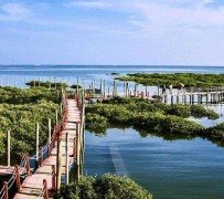 无锡旅游哪里好玩(云南旅游哪里好玩)