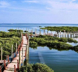 无锡旅游哪里好玩(云南旅游哪里好玩)