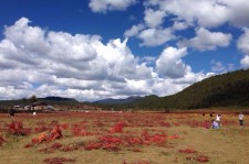 无锡旅游去处(暑期最好的旅游去处)