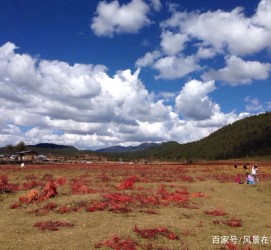 无锡旅游去处(暑期最好的旅游去处)